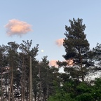 mmaaddii OnlyFans Leaked Photos and Videos 

 profile picture