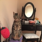 Download montse OnlyFans leaks for free 

 profile picture