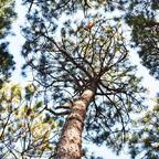 Download mr_anderson11 OnlyFans videos and photos for free 

 profile picture