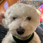 my_only_king (Ron ♥️) OnlyFans Leaked Pictures & Videos 

 profile picture