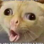 Onlyfans leaks nickxoxo 

 profile picture