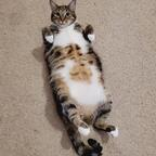 Onlyfans leak onlypaws0123 

 profile picture