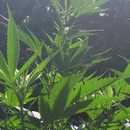 Download oss10001110101 OnlyFans videos and photos for free 

 profile picture