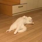 Download pnt100943 OnlyFans leaks for free 

 profile picture