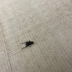 prettypenis69 (James Cameron) OnlyFans Leaked Pictures & Videos 

 profile picture