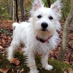 racuda OnlyFans Leaks 

 profile picture