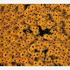 Free access to (@rainminina) Leaks OnlyFans 

 profile picture