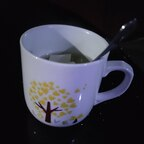 raviry21 (raviry21) free OnlyFans Leaked Videos and Pictures 

 profile picture