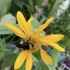 Free access to @really Leak OnlyFans 

 profile picture