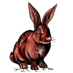 Download redrabbit6969 OnlyFans content for free 

 profile picture