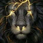 rome2828 (Tyrone 2891) OnlyFans Leaked Content 

 profile picture