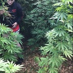 roxy004 (RoxyRoxanne) OnlyFans content 

 profile picture