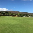 Saizo @saizo Leaks OnlyFans 

 profile picture