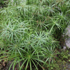 Onlyfans leak savadelrey 

 profile picture