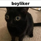 schmuugums (Schmuugums) free OnlyFans Leaked Videos and Pictures 

 profile picture