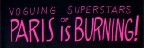 Header of sdrisablackbird