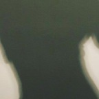 shae4in (Shae) free OnlyFans Leaked Content 

 profile picture