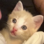 skinnybonestwink OnlyFans Leaked 

 profile picture