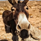 Download smallcockproductions OnlyFans videos and photos for free 

 profile picture