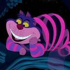 stregattax (😻Stregatta) free OnlyFans Leaks 

 profile picture