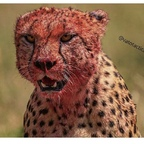 Queso Papi stroh Leak OnlyFans 

 profile picture