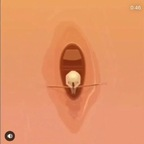 stuckhoe OnlyFans Leaked Photos and Videos 

 profile picture