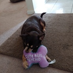 Download sushimama OnlyFans content for free 

 profile picture