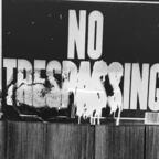 theoriginalbae (Amber) OnlyFans content 

 profile picture