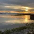 thereavenger OnlyFans Leaked 

 profile picture