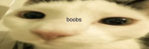 Header of theylovekittyy