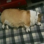 Onlyfans leak tisua 

 profile picture