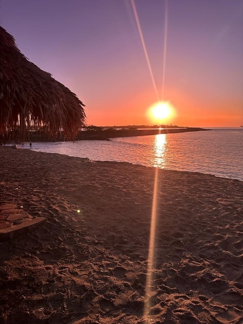 Header of toesatthebeach