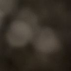 Tom P tparks Leaked OnlyFans 

 profile picture