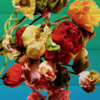 u107871737 OnlyFans Leaked Photos and Videos 

 profile picture