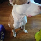 u132758435 OnlyFans Leaked 

 profile picture