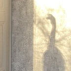 Free access to u138496975 Leak OnlyFans 

 profile picture