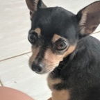 u15346165 @u15346165 Leaks OnlyFans 

 profile picture