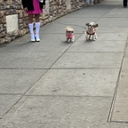 Sunshine (@u175932131) Leaked OnlyFans 

 profile picture