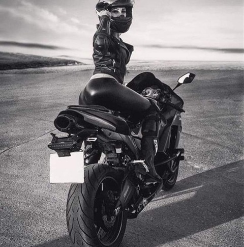 Header of u263665158