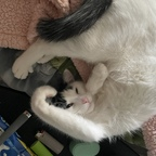 Unloveabledemonprincess unloveabledemonprincess Leaks OnlyFans 

 profile picture