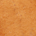 urasheru (sf) free OnlyFans Leaks 

 profile picture