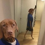 Onlyfans leaked vava974 

 profile picture