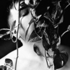 verslikeversace (My🥥🥥) OnlyFans content 

 profile picture