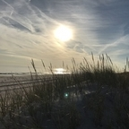 Free access to @virtue Leaks OnlyFans 

 profile picture