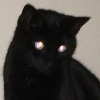 Free access to (@voidqueen) Leak OnlyFans 

 profile picture