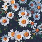 warburtonsbread OnlyFans Leaked Photos and Videos 

 profile picture