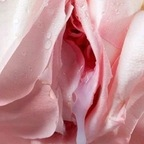 Onlyfans leak warrior19rn 

 profile picture