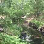 wellhungblack123 (Devin Vine) OnlyFans Leaked Pictures and Videos 

 profile picture