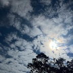 Download whoriiietoriiie OnlyFans content for free 

 profile picture