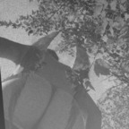 Download xxxkhloe OnlyFans leaks for free 

 profile picture